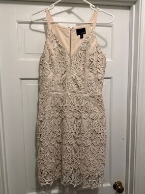 Greylin Ivory Lace Sleeveless Sheath Dress
